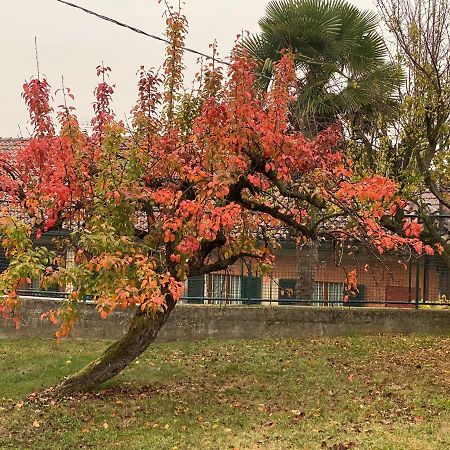 Al Vecchio Pero, Con Ampio Giardino Privato Villa La Morra Eksteriør bilde
