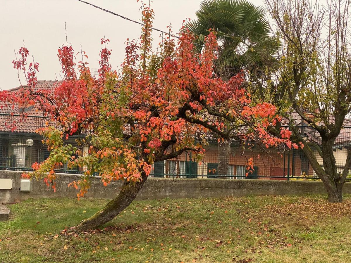 Al Vecchio Pero, Con Ampio Giardino Privato Villa La Morra Eksteriør bilde